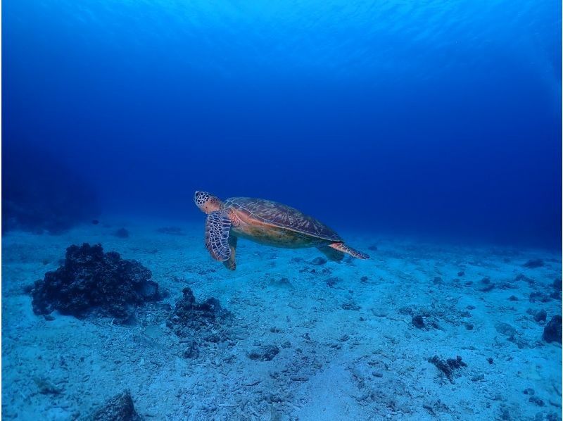 【北海道・SUP体験】透明度の高い支笏湖の湖面をクルージング！SUP体験（半日コース）の画像