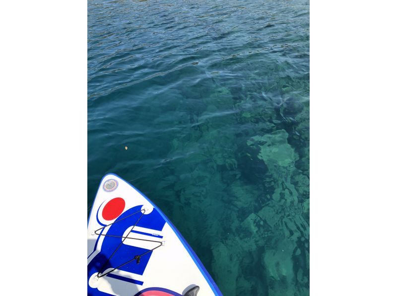 【北海道・SUP体験】透明度の高い支笏湖の湖面をクルージング！SUP体験（半日コース）の画像