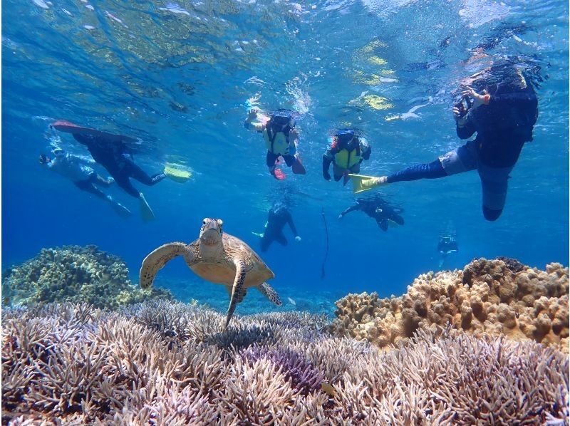 【北海道・SUP体験】透明度の高い支笏湖の湖面をクルージング！SUP体験（半日コース）の画像