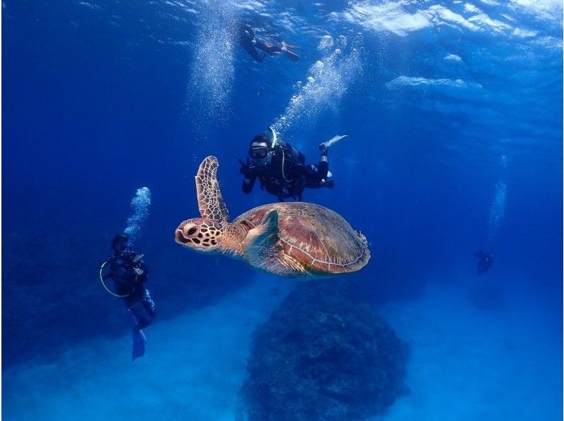 【北海道・SUP体験】透明度の高い支笏湖の湖面をクルージング！SUP体験（半日コース）の画像