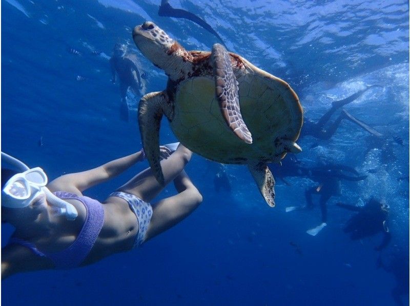 【北海道・SUP体験】透明度の高い支笏湖の湖面をクルージング！SUP体験（半日コース）の画像