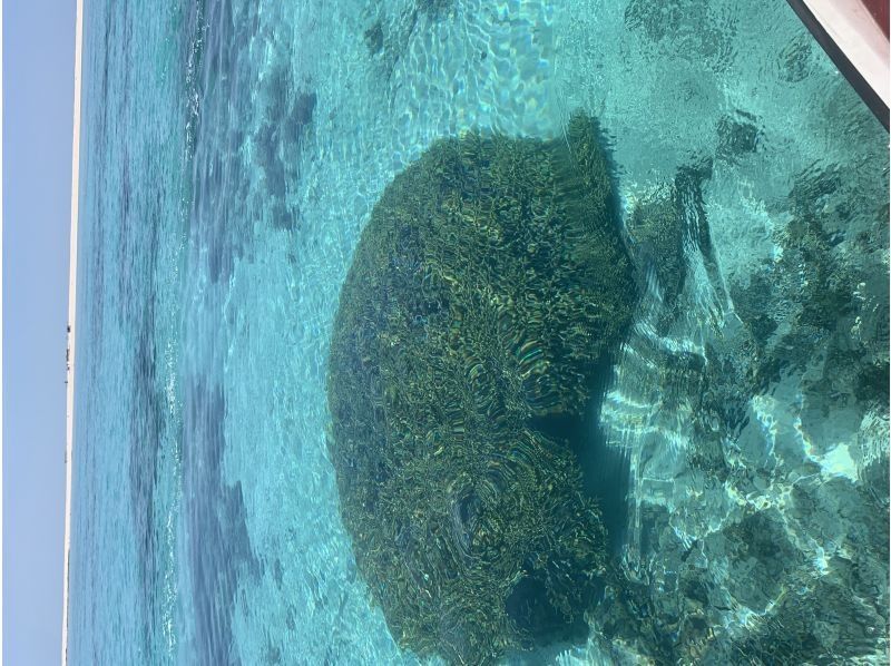 【北海道・SUP体験】透明度の高い支笏湖の湖面をクルージング！SUP体験（半日コース）の画像
