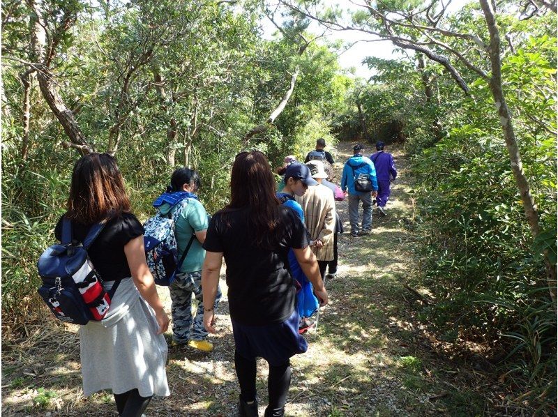 【北海道・SUP体験】透明度の高い支笏湖の湖面をクルージング！SUP体験（半日コース）の画像