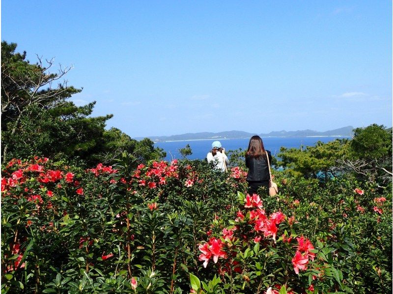 【北海道・SUP体験】透明度の高い支笏湖の湖面をクルージング！SUP体験（半日コース）の画像