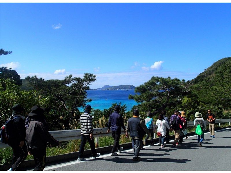 【北海道・SUP体験】透明度の高い支笏湖の湖面をクルージング！SUP体験（半日コース）の画像