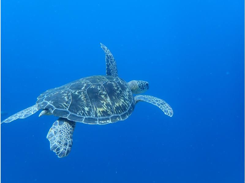 【北海道・SUP体験】透明度の高い支笏湖の湖面をクルージング！SUP体験（半日コース）の画像
