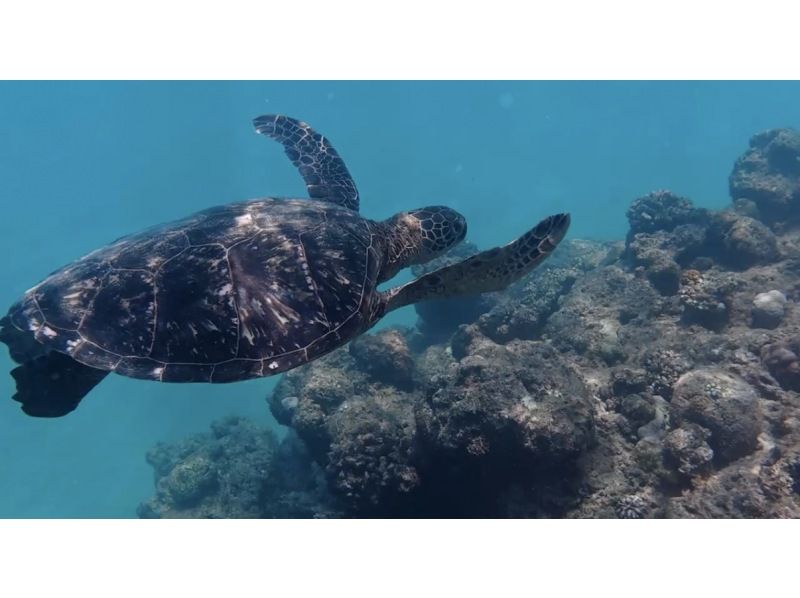 【北海道・SUP体験】透明度の高い支笏湖の湖面をクルージング！SUP体験（半日コース）の画像