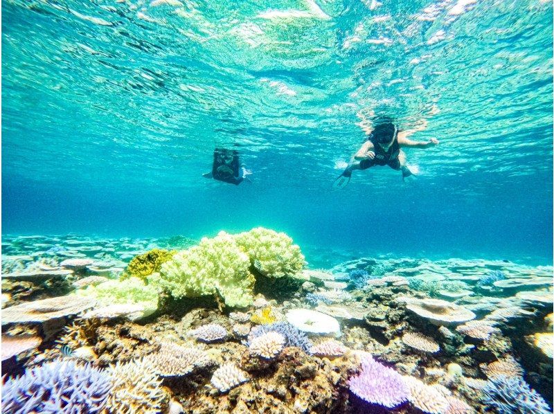 【北海道・SUP体験】透明度の高い支笏湖の湖面をクルージング！SUP体験（半日コース）の画像