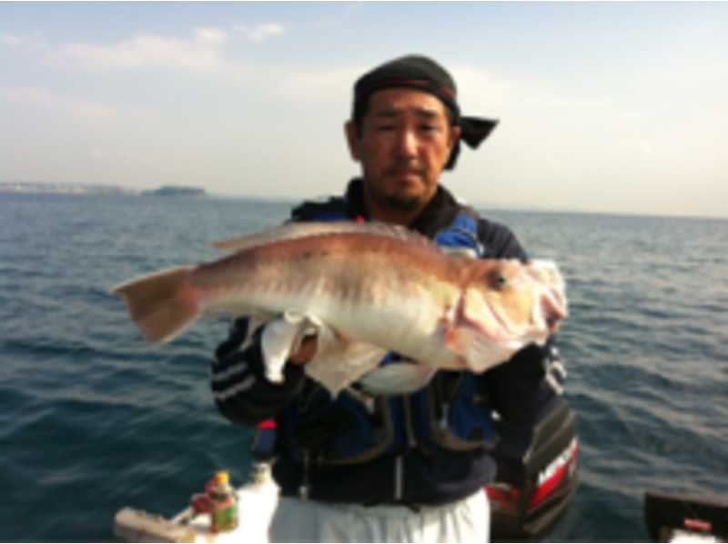 【神奈川・横浜】ボートフィッシング~海の生き物を釣ろう!「チャーターボートラポール2コース」6名様迄