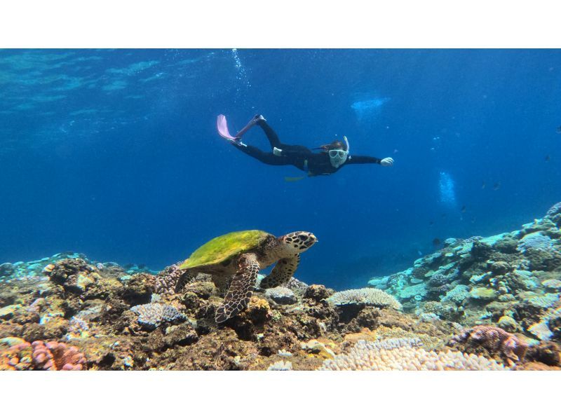 【北海道・SUP体験】透明度の高い支笏湖の湖面をクルージング！SUP体験（半日コース）の画像