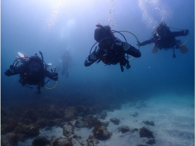 【北海道・SUP体験】透明度の高い支笏湖の湖面をクルージング！SUP体験（半日コース）の画像