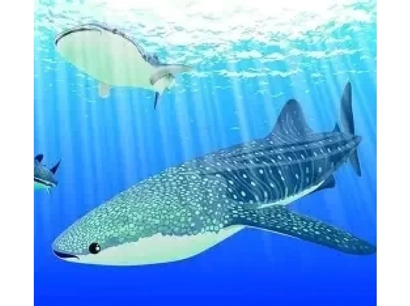 【北海道・SUP体験】透明度の高い支笏湖の湖面をクルージング！SUP体験（半日コース）の画像