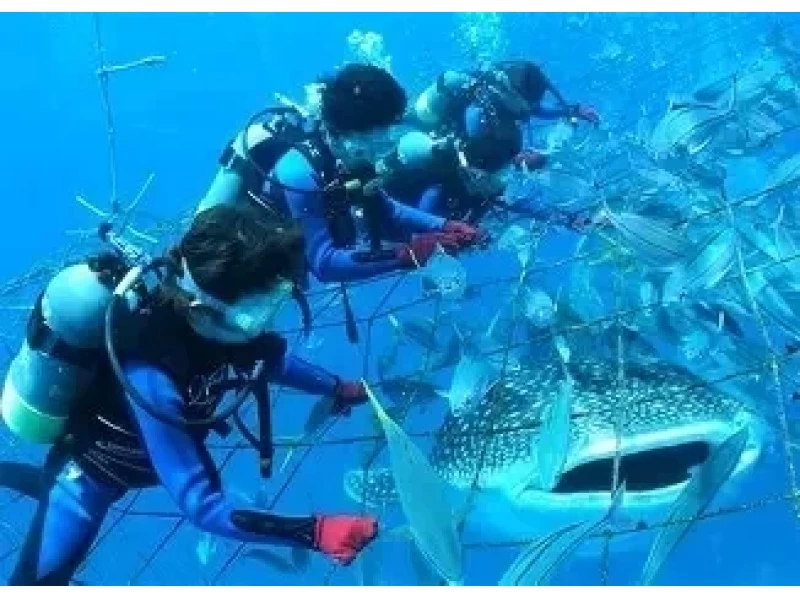 【北海道・SUP体験】透明度の高い支笏湖の湖面をクルージング！SUP体験（半日コース）の画像