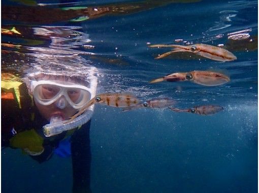 【佐渡・虫崎・シュノーケリングツアー・水中生物観察】手ぶら参加OK!午前・午後開催 【佐渡・虫崎・シュノーケリングツアー・水中生物観察】手ぶら参加OK!午前・午後開催