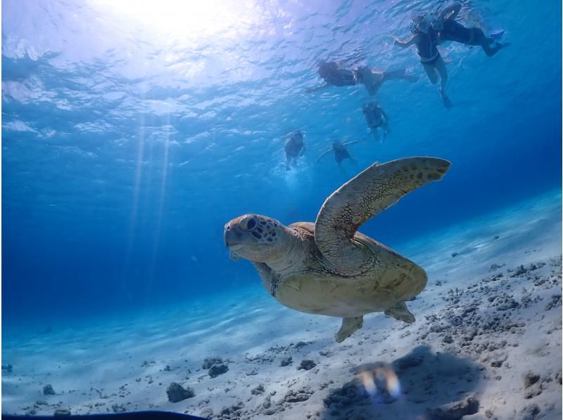 【北海道・SUP体験】透明度の高い支笏湖の湖面をクルージング！SUP体験（半日コース）の画像