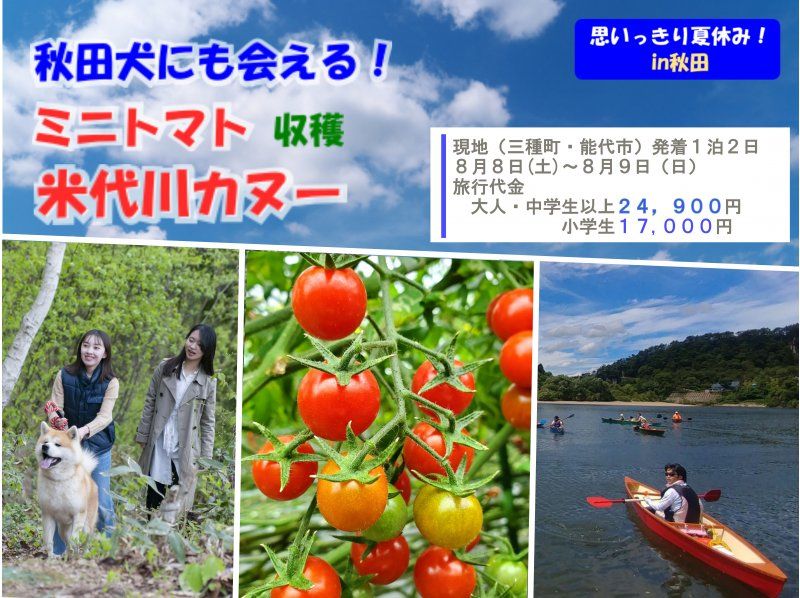 【北海道・SUP体験】透明度の高い支笏湖の湖面をクルージング！SUP体験（半日コース）の画像