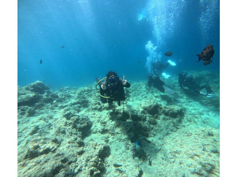 【北海道・SUP体験】透明度の高い支笏湖の湖面をクルージング！SUP体験（半日コース）の画像