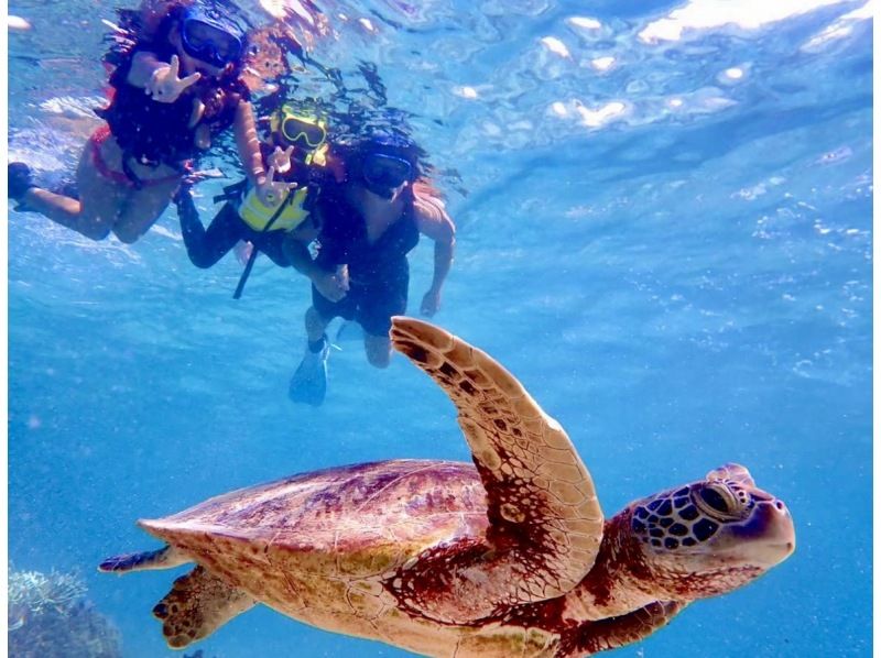 【北海道・SUP体験】透明度の高い支笏湖の湖面をクルージング！SUP体験（半日コース）の画像