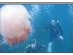 【愛知・名古屋発】手軽に参加!体験ダイビングコース(越前海岸)の画像