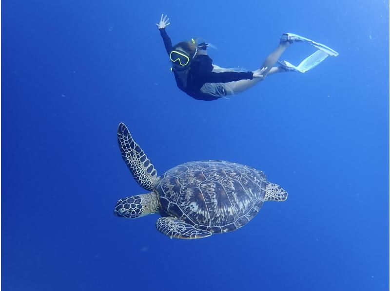 【北海道・SUP体験】透明度の高い支笏湖の湖面をクルージング！SUP体験（半日コース）の画像