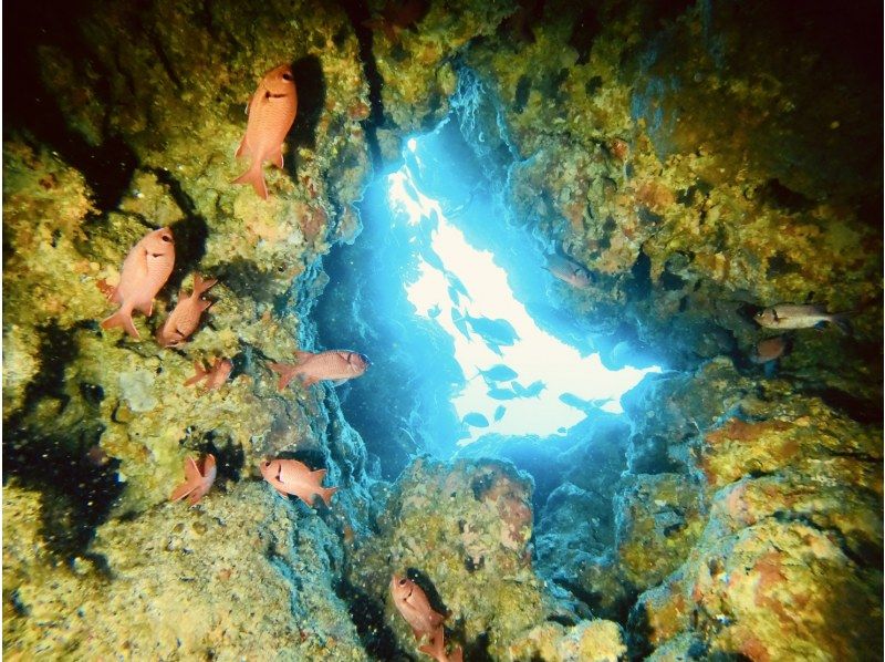 【北海道・SUP体験】透明度の高い支笏湖の湖面をクルージング！SUP体験（半日コース）の画像