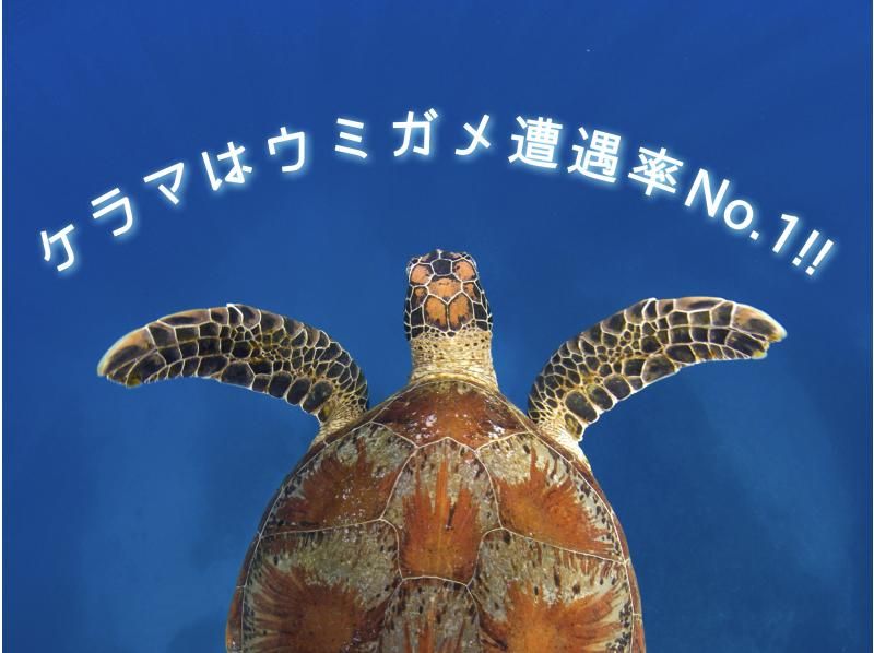 【北海道・SUP体験】透明度の高い支笏湖の湖面をクルージング！SUP体験（半日コース）の画像