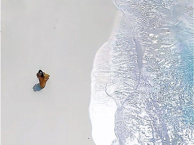 【北海道・SUP体験】透明度の高い支笏湖の湖面をクルージング！SUP体験（半日コース）の画像