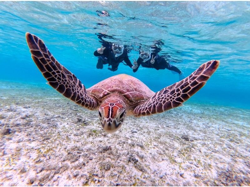 【北海道・SUP体験】透明度の高い支笏湖の湖面をクルージング！SUP体験（半日コース）の画像