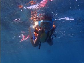 【静岡・伊豆・大瀬崎】水中観察しませんか？スノーケリングコース【初心者・スノーケリング】