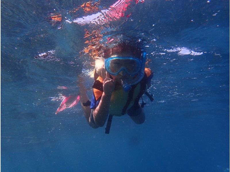 [Shizuoka ・ Izu ・ Osezaki]underwater Do you not observe? Snorkeling course [Beginner / snorkeling]の紹介画像