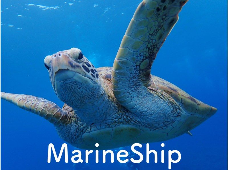 【北海道・SUP体験】透明度の高い支笏湖の湖面をクルージング！SUP体験（半日コース）の画像