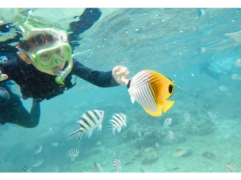 【北海道・SUP体験】透明度の高い支笏湖の湖面をクルージング！SUP体験（半日コース）の画像