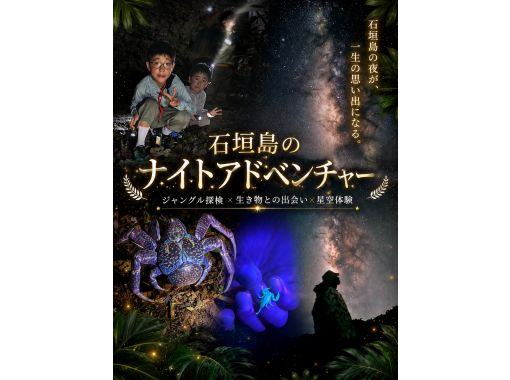 【今だけ超OPENセール】安心のヤシガニ見れなきゃ全額返金オプション有☆満天の星空案内&夜の珍生物探索!極秘エリアでのナイトツアー⭐︎ 【今だけ超OPENセール】安心のヤシガニ見れなきゃ全額返金オプション有☆満天の星空案内&夜の珍生物探索!極秘エリアでのナイトツアー⭐︎