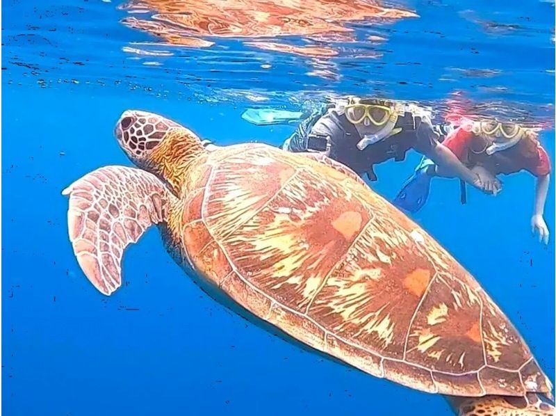 【北海道・SUP体験】透明度の高い支笏湖の湖面をクルージング！SUP体験（半日コース）の画像