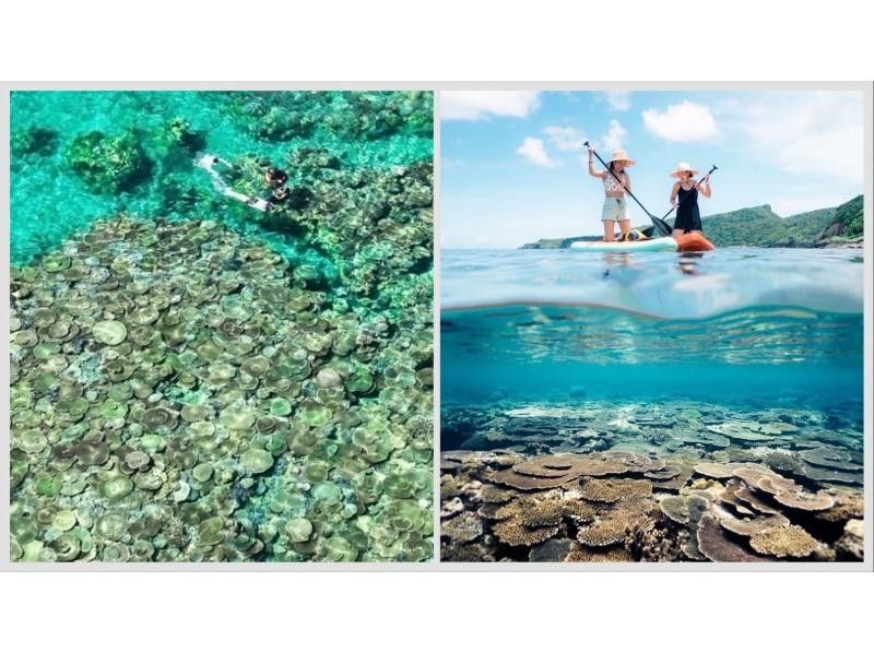 【北海道・SUP体験】透明度の高い支笏湖の湖面をクルージング！SUP体験（半日コース）の画像
