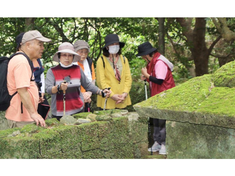 【北海道・SUP体験】透明度の高い支笏湖の湖面をクルージング！SUP体験（半日コース）の画像