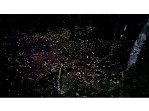 【沖縄・石垣島】サンセット&ナイトツアー「90分コース」 *写真・動画プレゼント!! 【沖縄・石垣島】サンセット&ナイトツアー「90分コース」 *写真・動画プレゼント!!