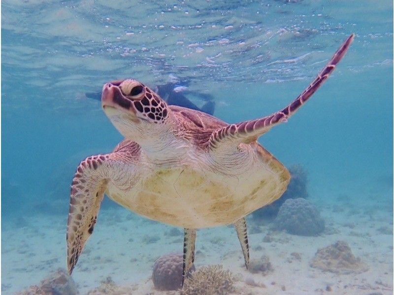 【北海道・SUP体験】透明度の高い支笏湖の湖面をクルージング！SUP体験（半日コース）の画像