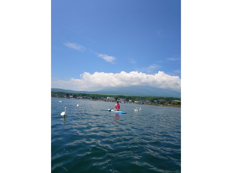 【北海道・SUP体験】透明度の高い支笏湖の湖面をクルージング！SUP体験（半日コース）の画像