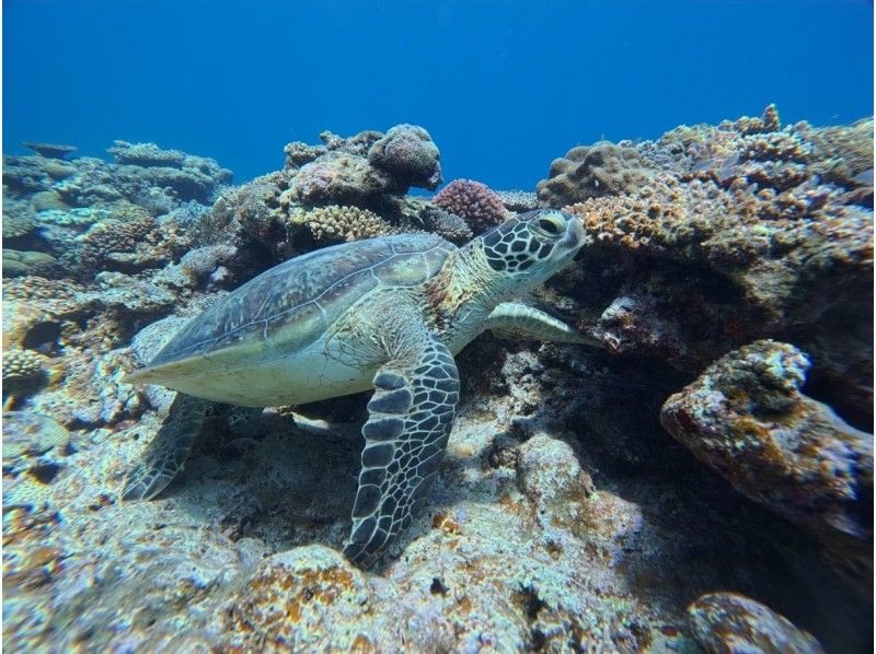 【北海道・SUP体験】透明度の高い支笏湖の湖面をクルージング！SUP体験（半日コース）の画像