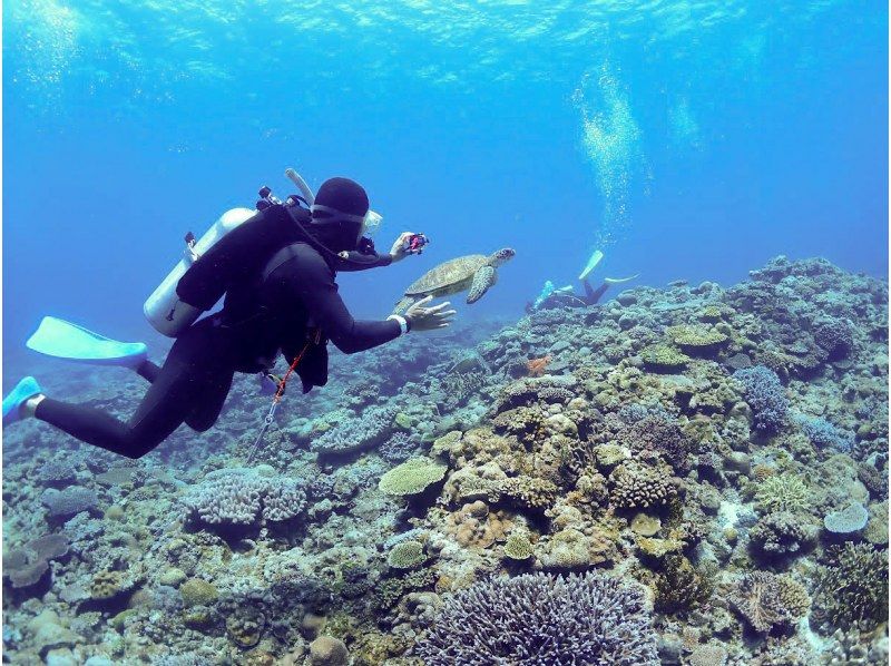 【北海道・SUP体験】透明度の高い支笏湖の湖面をクルージング!SUP体験(半日コース)の画像