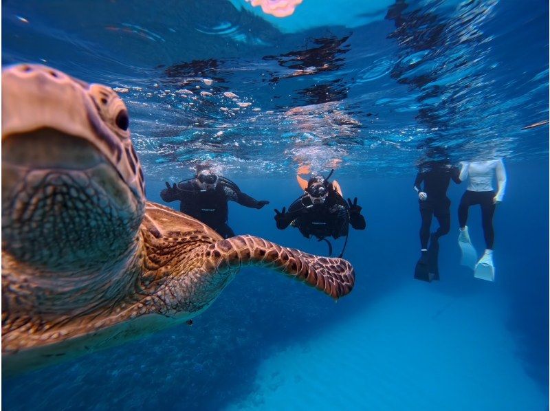 【北海道・SUP体験】透明度の高い支笏湖の湖面をクルージング！SUP体験（半日コース）の画像