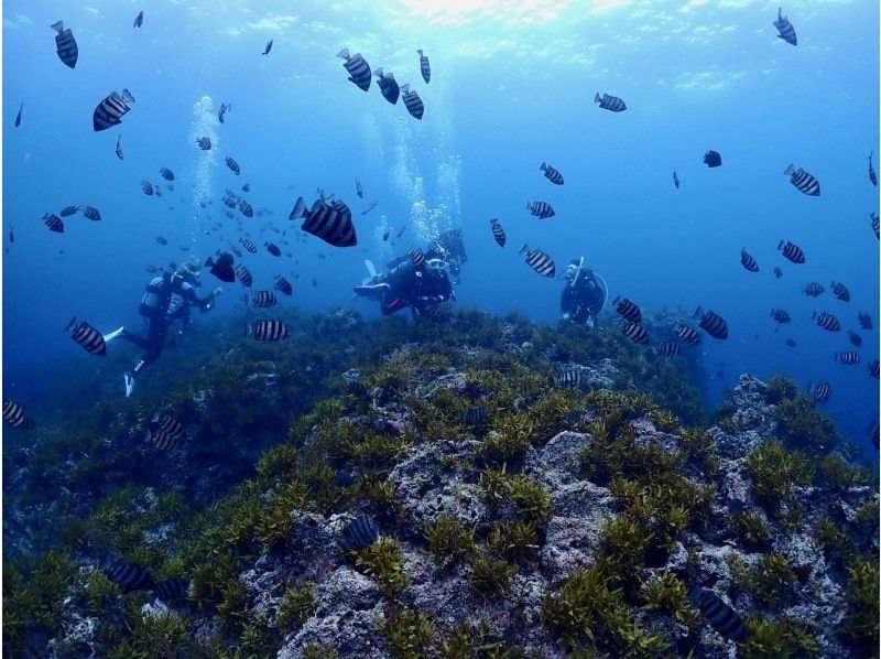 【北海道・SUP体験】透明度の高い支笏湖の湖面をクルージング!SUP体験(半日コース)の画像