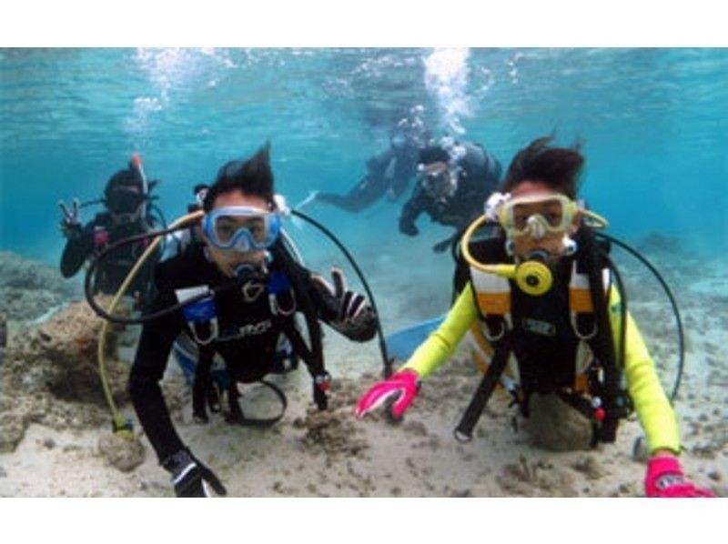 [Kagoshima ・ Amami Oshima】 With snorkel Diving At the same time! Experience Diving Luxury shamisen course (7 hours)の紹介画像