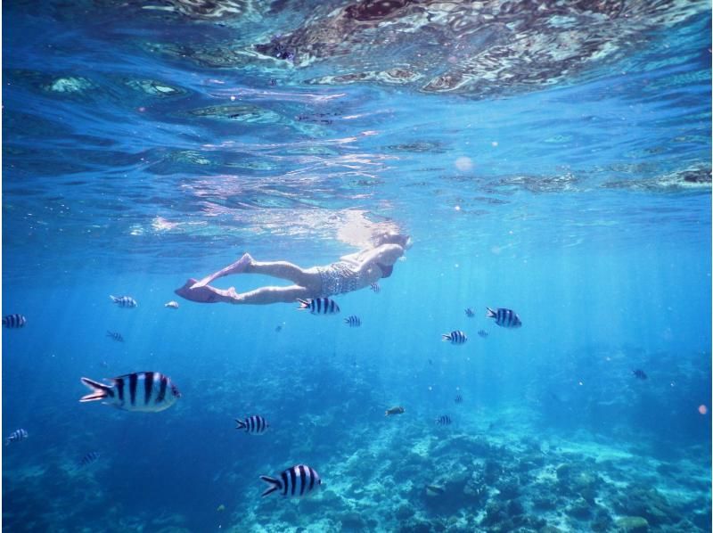 【北海道・SUP体験】透明度の高い支笏湖の湖面をクルージング！SUP体験（半日コース）の画像