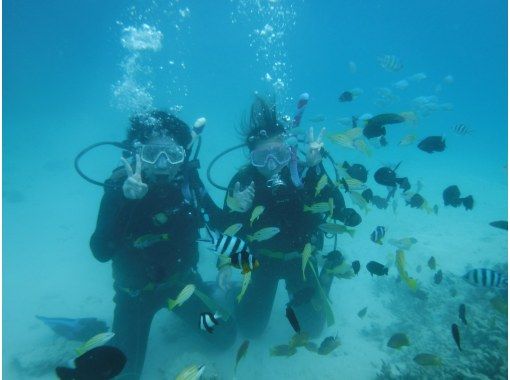 【鹿児島・奄美大島】ライセンス不要 ！「海」を始める人たちのための体験ダイビングの画像