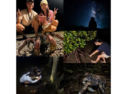 【石垣島・ナイト】ヤシガニ見れなきゃ全額返金保証!絶滅危惧種のヤシガニ観察&マングローブ探索&星空鑑賞(約1時間)お手軽ナイトウォッチ! 【石垣島・ナイト】ヤシガニ見れなきゃ全額返金保証!絶滅危惧種のヤシガニ観察&マングローブ探索&星空鑑賞(約1時間)お手軽ナイトウォッチ!