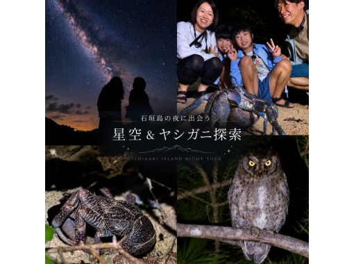 【石垣島・ナイト】遭遇率99%ヤシガニ探索&満天の星空鑑賞✨手ぶら参加OK!お手軽にナイトウォッチング!写真無料プレゼント!当日予約OK! 【石垣島・ナイト】遭遇率99%ヤシガニ探索&満天の星空鑑賞✨手ぶら参加OK!お手軽にナイトウォッチング!写真無料プレゼント!当日予約OK!