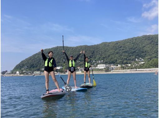 【神奈川・葉山一色海岸】SUPビギナークラス【海岸にてレッスン後、海へ！プロインストラクターがお連れします～】の画像