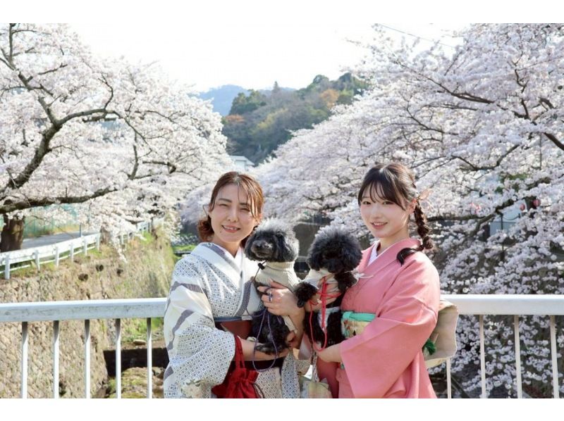 【兵庫・有馬温泉】本格着物で日本最古の温泉街散策｜着付け・ヘアセット・和装小物一式付き（４時間パック）